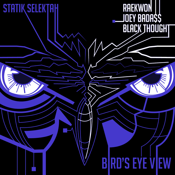 birds eye view-cover