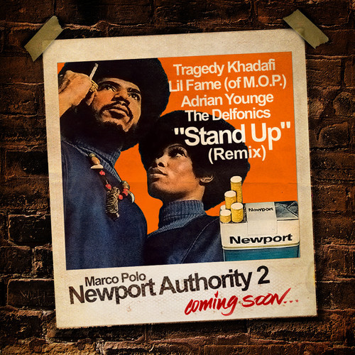 newport authority 2-cover