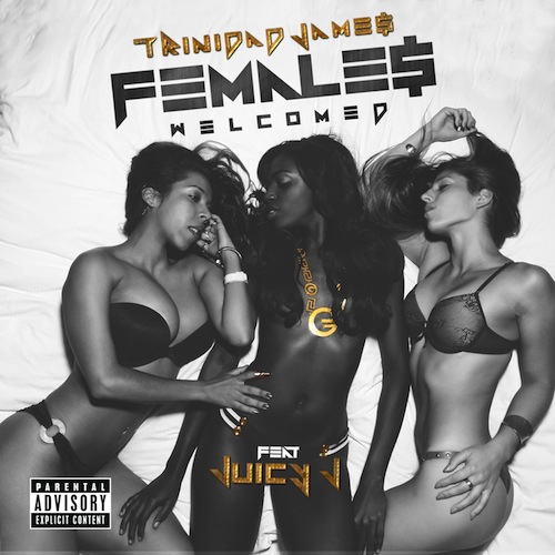 females welcomed remix-cover