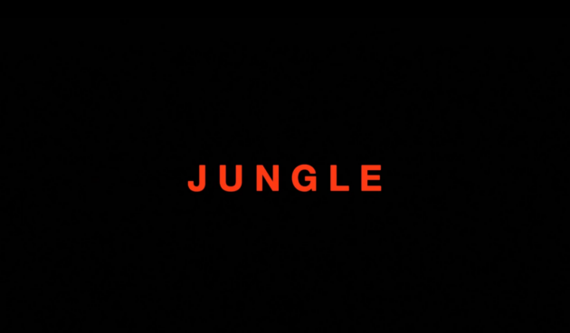 Drake Jungle (Lyrics) 