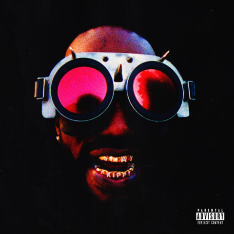 洋楽 g-rap DESTINEAL / BORN TO HUSTLE the-hustle-continues-480x480.png