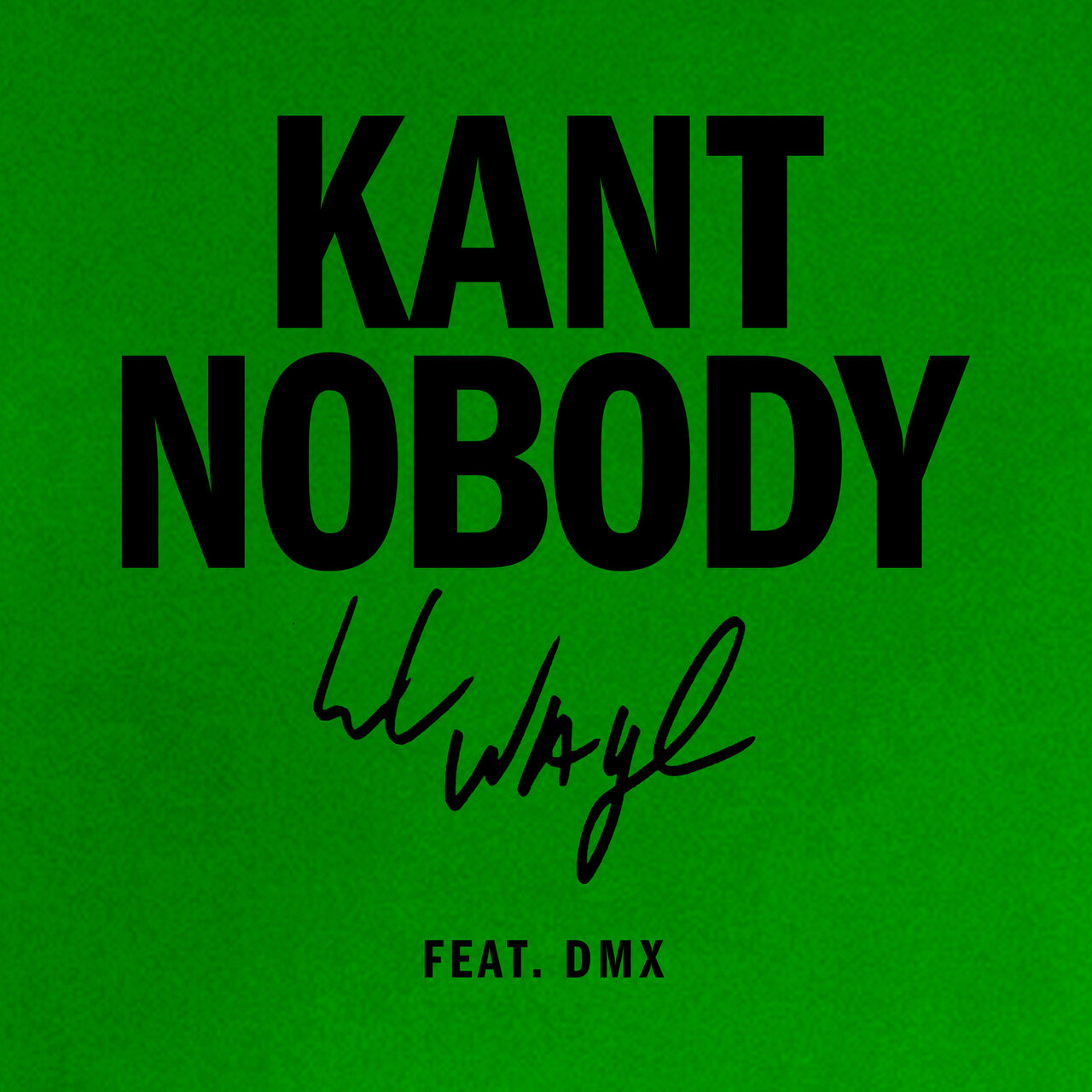 Kant Nobody Lil Wayne Lyrics